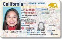 California Driver License